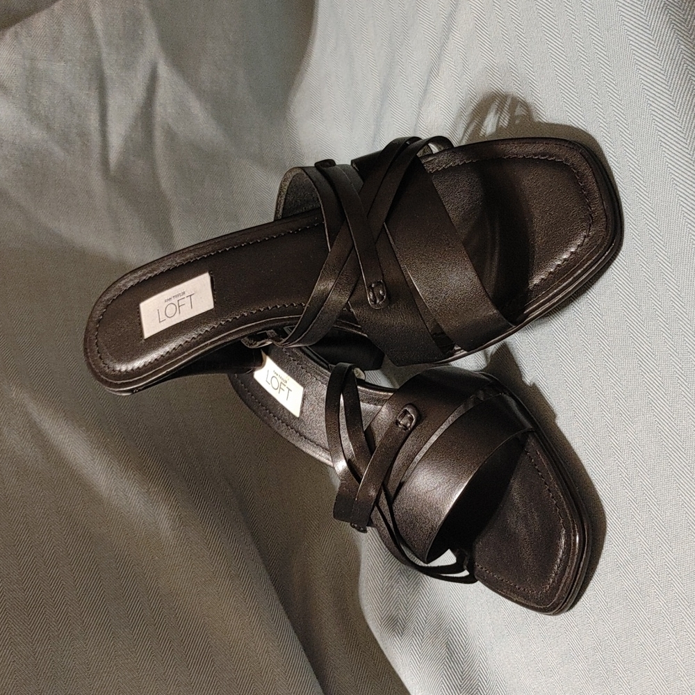 🦉Loft Shoes